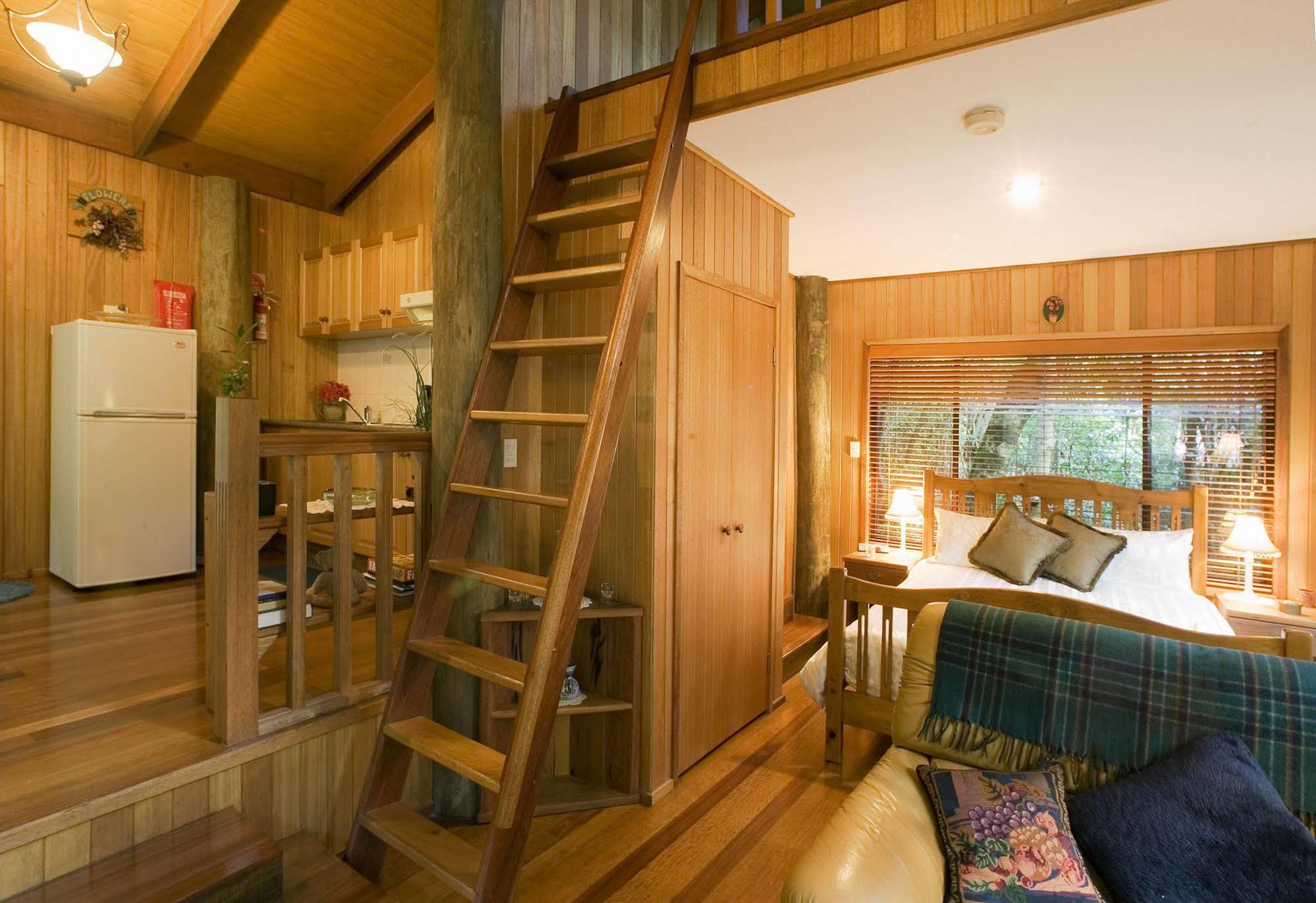Villa Springbrook Lyrebird Retreat Exterior foto
